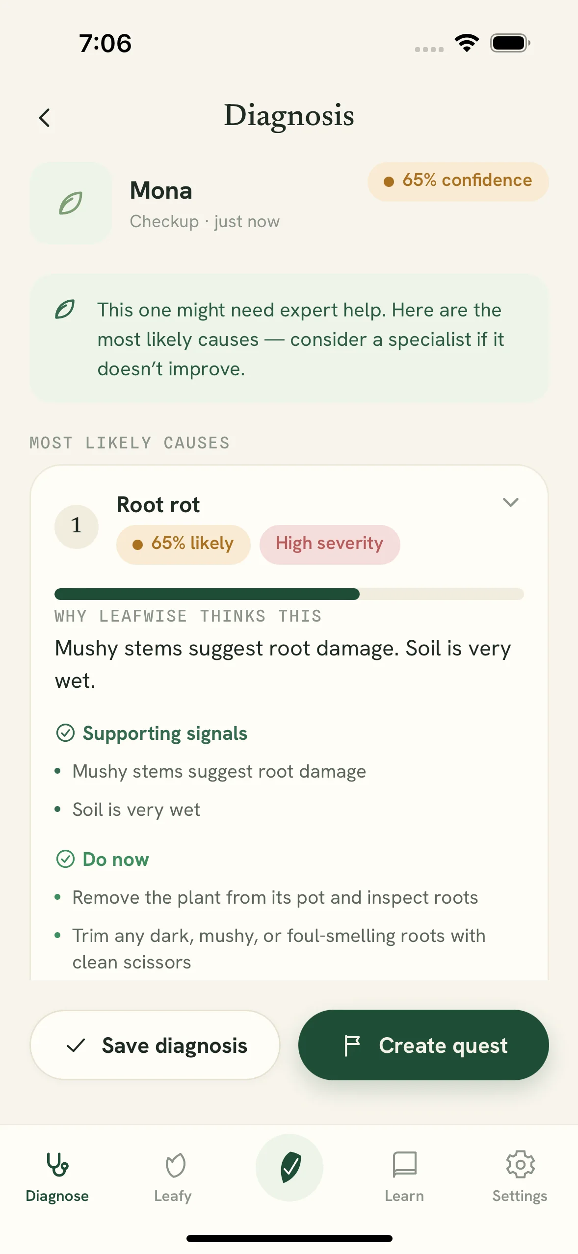 Leaf.Wise diagnosis result with likely causes and next steps