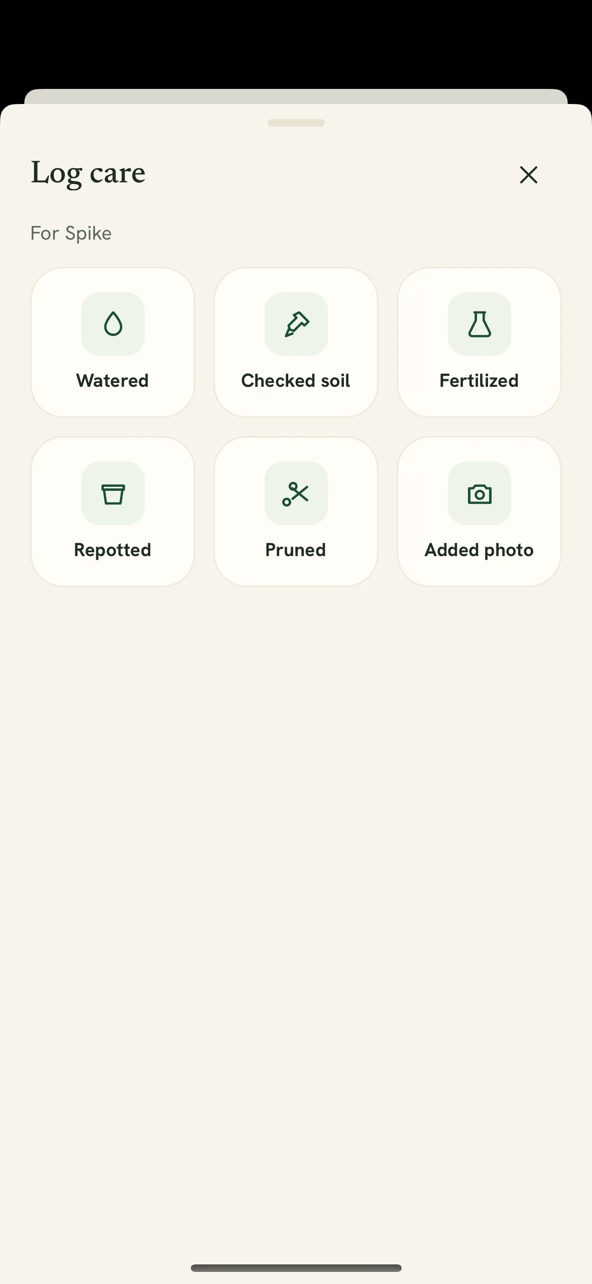 Leaf.Wise care history actions